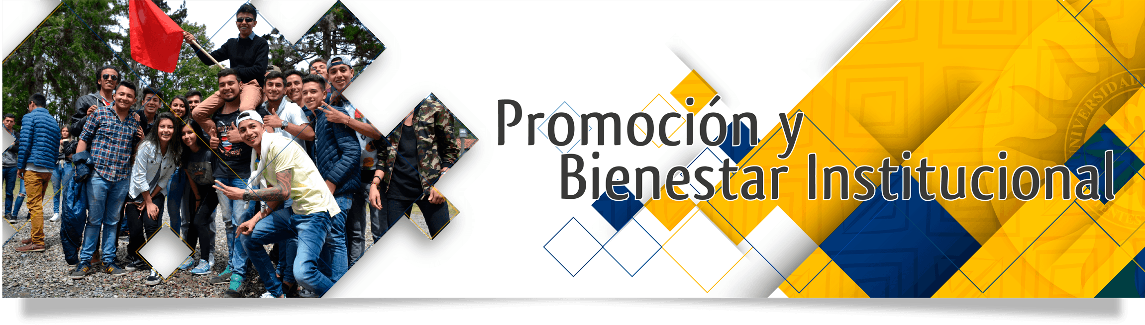 promocion y bienestar 17png